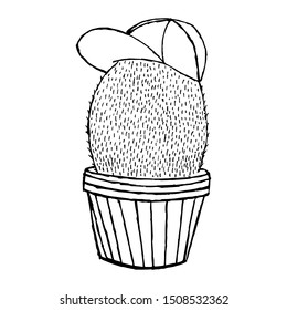 Cactus in a pot with a hat