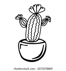 Cactus in a pot with hearts. Happy Valentines day hand-drawn decorations. Vector illustration in doodle style.