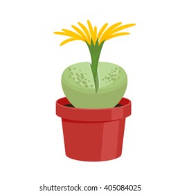 Cactus in a pot - home flower. Vector illustration.