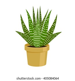 Cactus in a pot - home flower. Vector illustration.