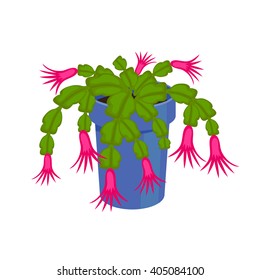 Cactus in a pot - home flower. Vector illustration.