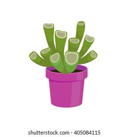 Cactus in a pot - home flower. Vector illustration.