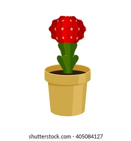 Cactus in a pot - home flower. Vector illustration.
