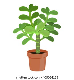 Cactus in a pot - home flower. Vector illustration.