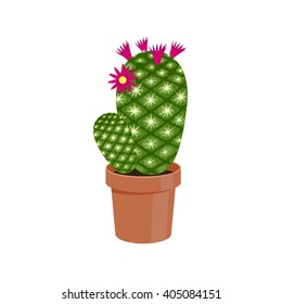 Cactus in a pot - home flower. Vector illustration.