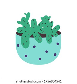  Cactus in a pot. Home indoor plant-prickly green cactus. flat vector illustration