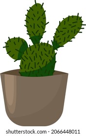 cactus in a pot house plant interior indoor flowers cacti succulents