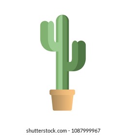 cactus in pot houseplant