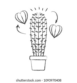 cactus in pot houseplant with heart