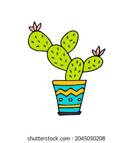Cactus in pot. Houseplants. An exotic plant. Thorns. Plant. Vector. Doodle. Hand-drawn illustration.
