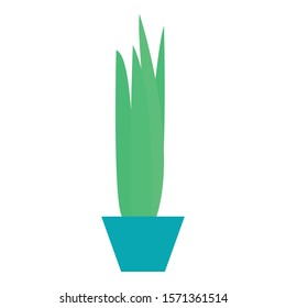 Cactus pot icon. Flat illustration of cactus pot vector icon for web design