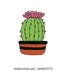 cactus in a pot icon hand drawn. succulent