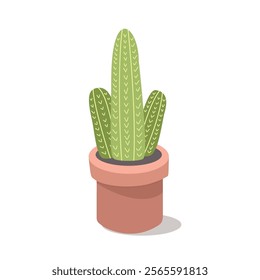 Cactus in pot. Cactus illustration. Cacti collection. Desert plant. Cacti plant. Desert flower.