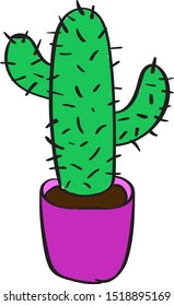 Cactus in pot, illustration, vector on white background.