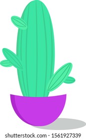 Cactus in pot, illustration, vector on white background.