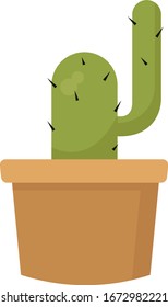 Cactus in pot, illustration, vector on white background.
