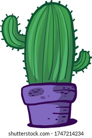 Cactus in pot , illustration, vector on white background