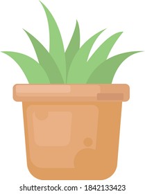 Cactus in pot, illustration, vector on white background