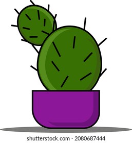 Cactus in a pot. Indoor plant for home or as a gift.