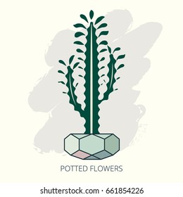 Cactus in pot isolated. Home flowers made in flat style. Vector illustration.