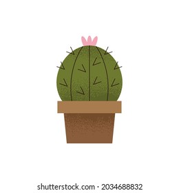 cactus in pot isolated icon