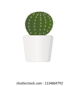 Cactus in pot isolated on white background. Vector illustration.