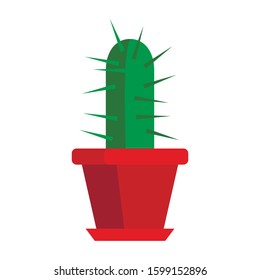 Cactus in a pot isolated on white background