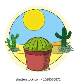 Cactus in pot on desert