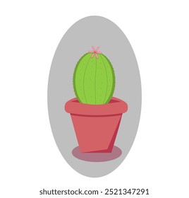 cactus in a pot on a gray background, 
