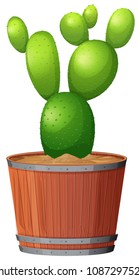 Cactus in Pot on White Background illustration