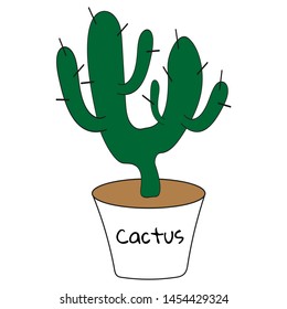 Cactus in a pot on a white background