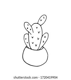 Cactus in a pot on a white background. Vector isolated illustration with a prickly cactus in a pot.Printing on fabrics, dishes and clothing. Prickly plant.  Cactus-Doodle style. Houseplant. 