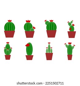 cactus in a pot on white background