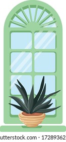 Cactus in a pot on the windowsill window glass