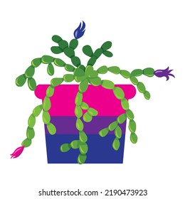 Cactus in a pot painted in the colors of the bisexual flag.