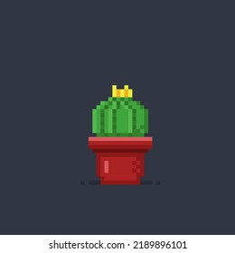 cactus in the pot with pixel art style