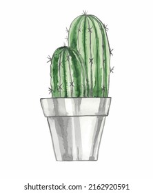 Cactus in a pot. Plant for card, postcard, invitation, greeting, pattern. Watercolour illustration on white background.