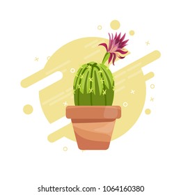 Cactus in pot plant concept vector illustration 