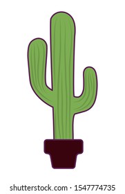 cactus in pot plant isolated icon vector illustration design