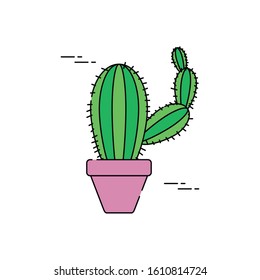 cactus in pot plants flat fill vector illustration