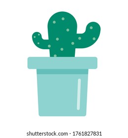 cactus in a pot plants in simple design.