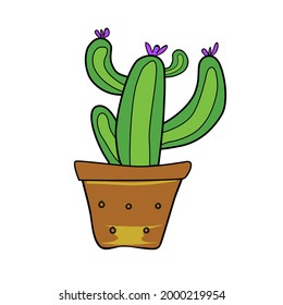 cactus in a pot with purple flower
