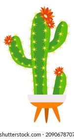 Cactus en olla con flores rojas. Planta Cacti
