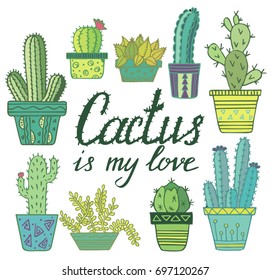 Cactus in pot set. Colored funny cute cactus vector set, cute plants. Mexican cactus set. Modern cactus illustration.