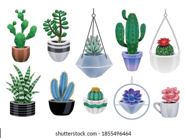 Cactus in pot set with isolated icons of colourful cactus plants and pots of various design vector illustration