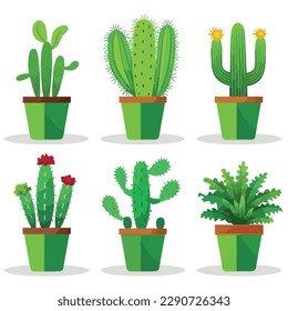 Cactus in a pot set vector isolated illustration