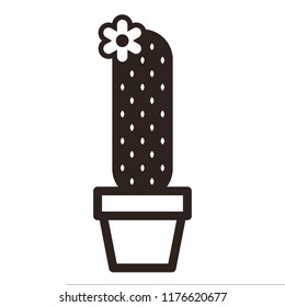Cactus in pot solated on white background