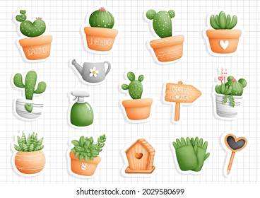 Cactus en una caldera, un planificador y un raspador.