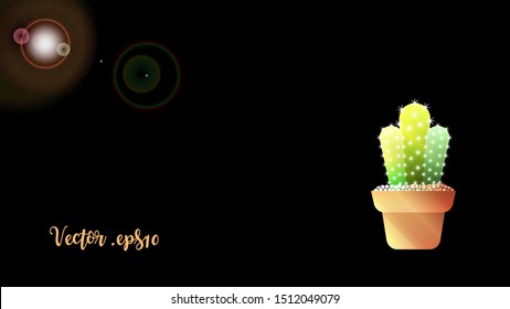 Cactus in a pot in sunlight on black background, vector eps10