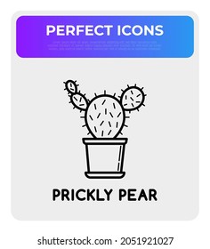 Cactus in pot thin line icon. Modern vector illustration of home plant.